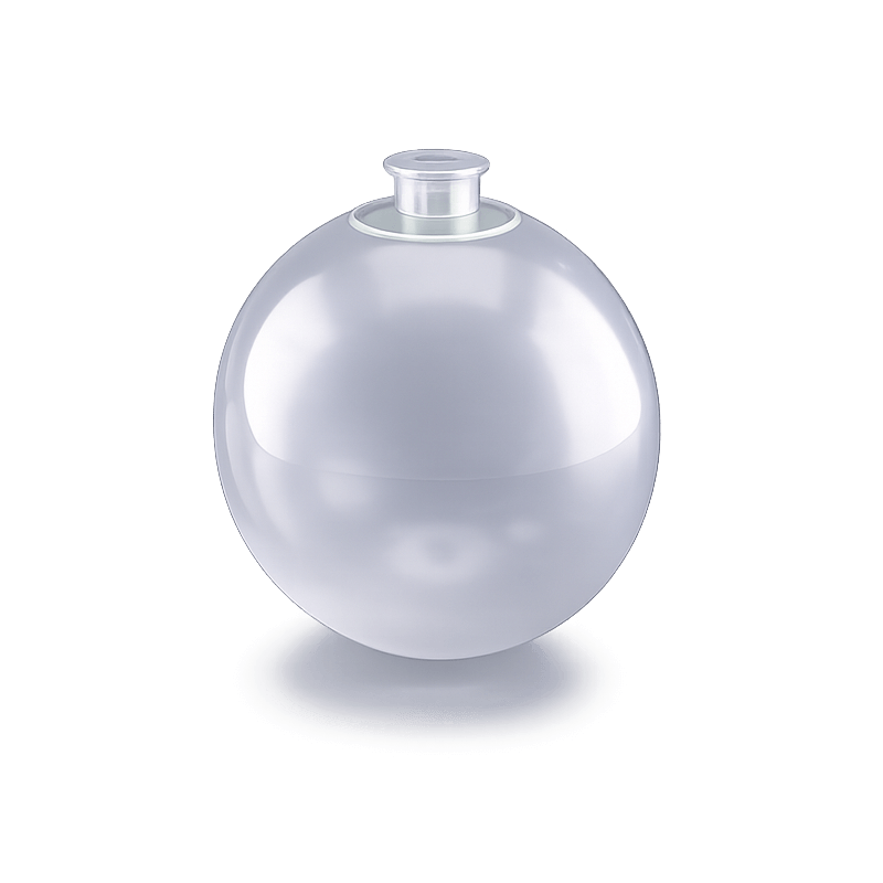 Zilveren herbruikbare PilaMania ballon