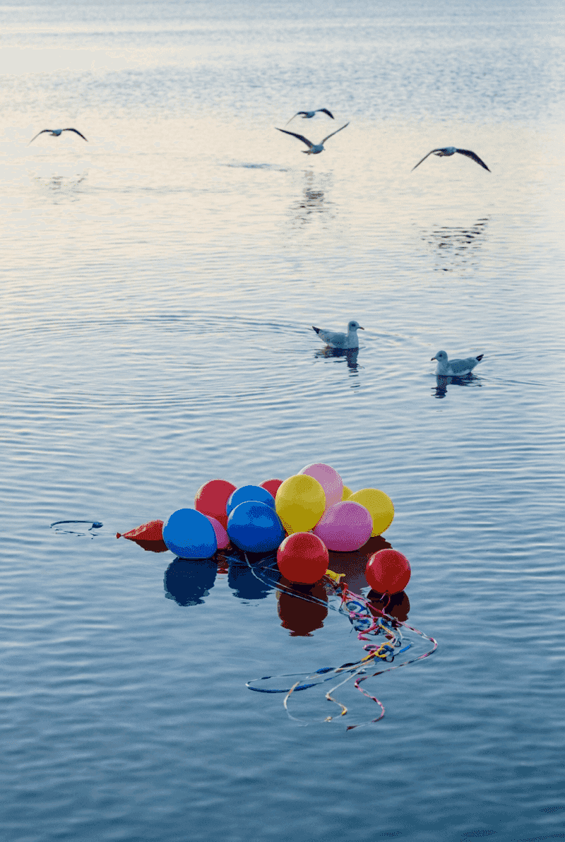 Zeeschildpad bedreigd door ballonafval in de oceaan